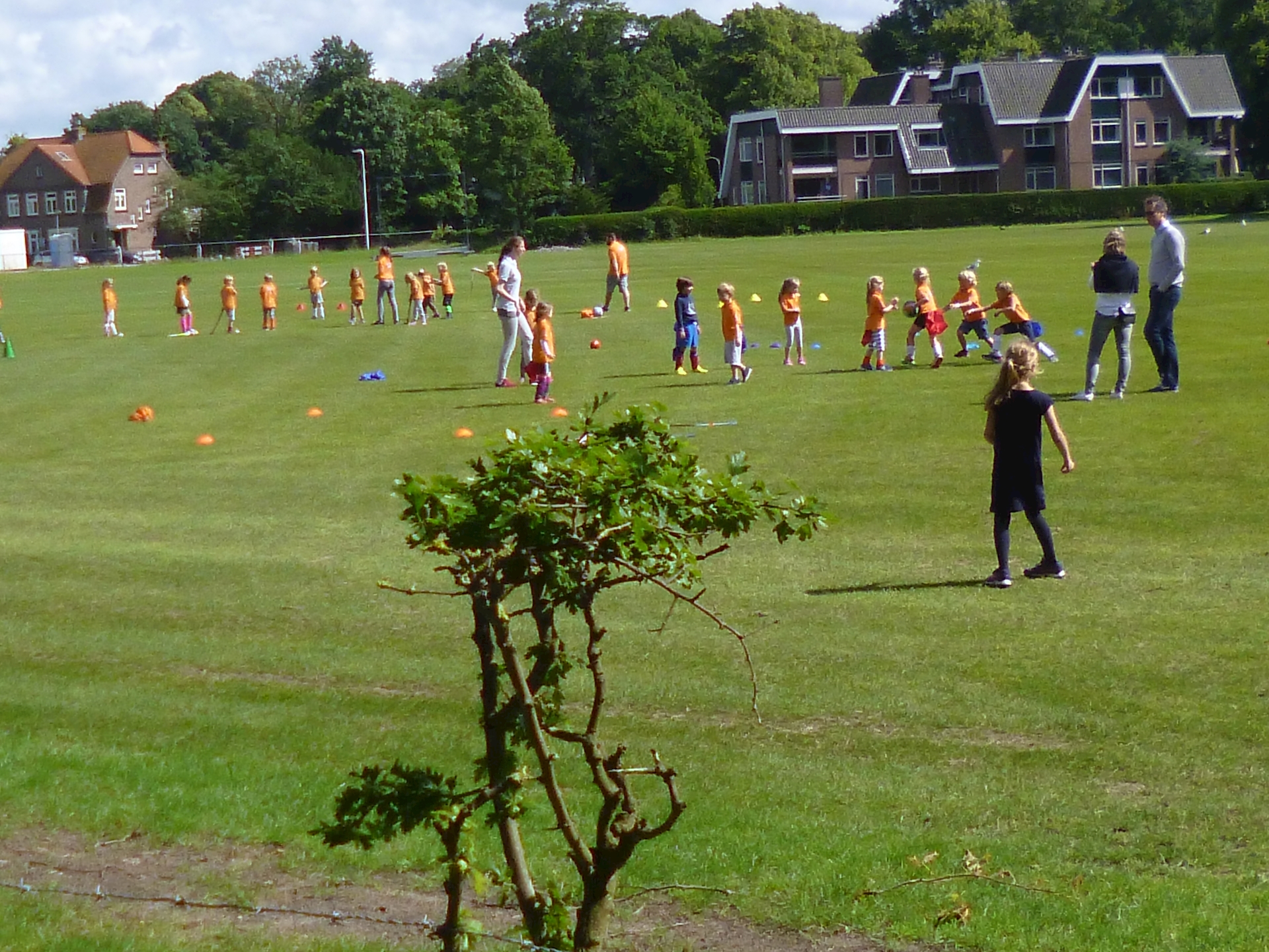 P1010058.JPG